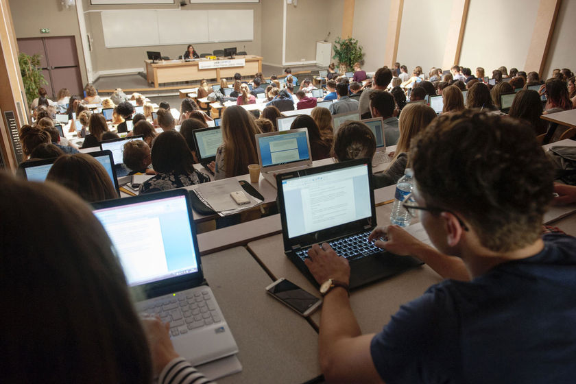 Skolioù-meur enno 5000 a studierien