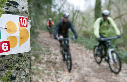 Troiadoù bale MTB